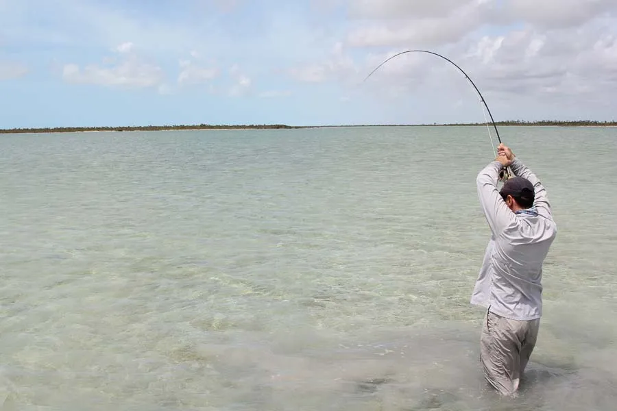 Montana Angler Fly Fishing Travel