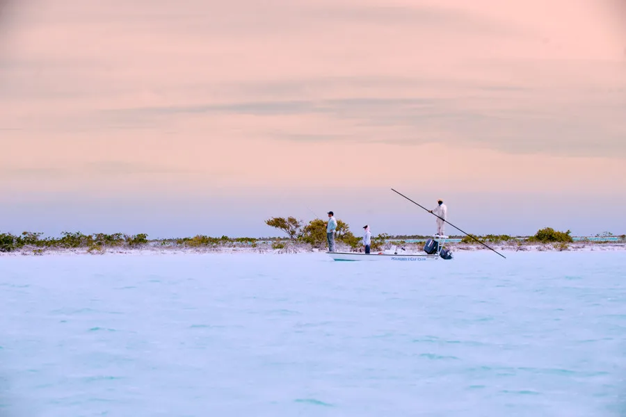 andros guided fishing trips