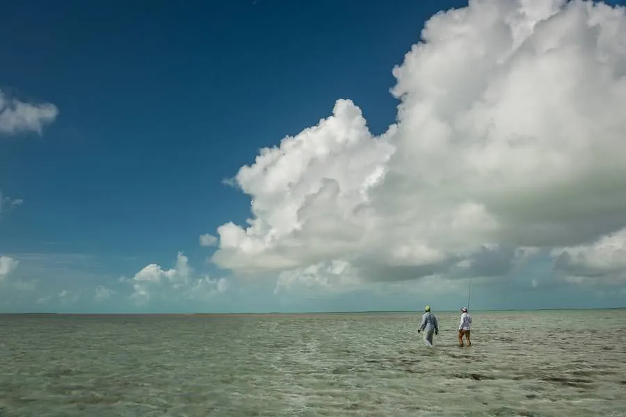 wading andros