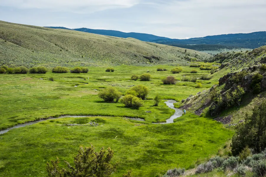 Montana Fly Fishing, Montana Fishing Guides