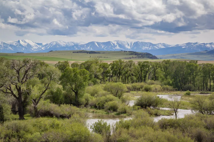 Montana Fly Fishing Guides, Montana Guided Fishing