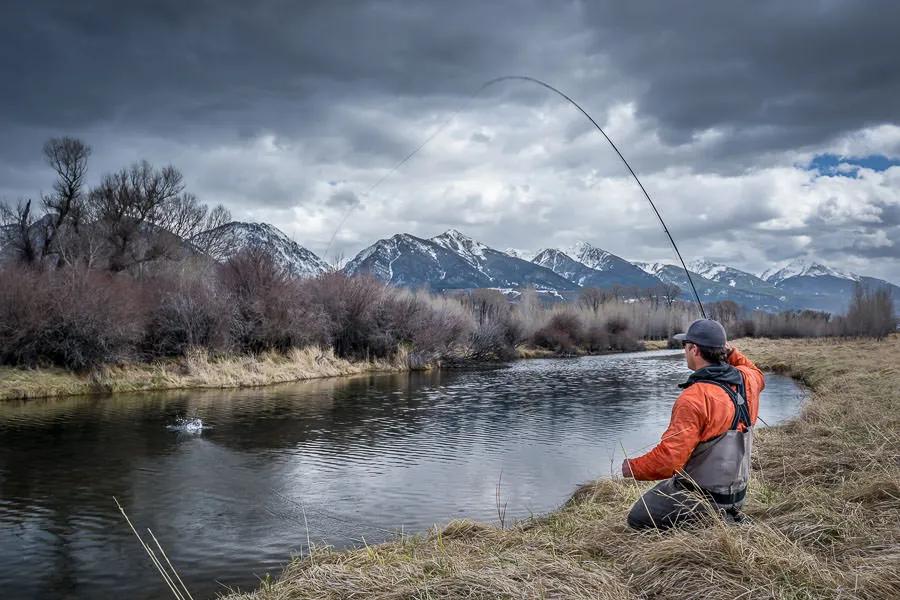 Overcast day on the Livingston Spring Creeks Environmental Conditions and Trout