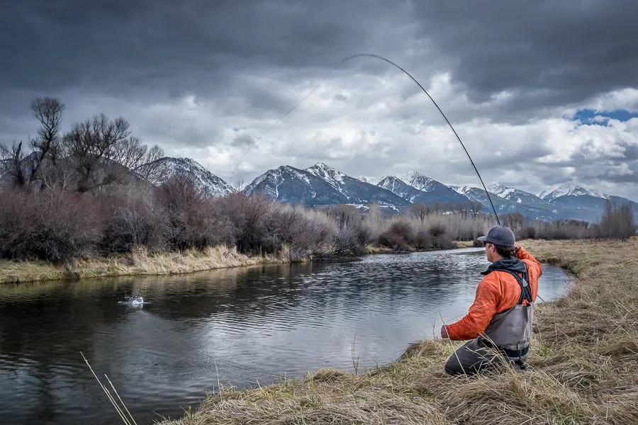 Environmental Conditions and Trout 