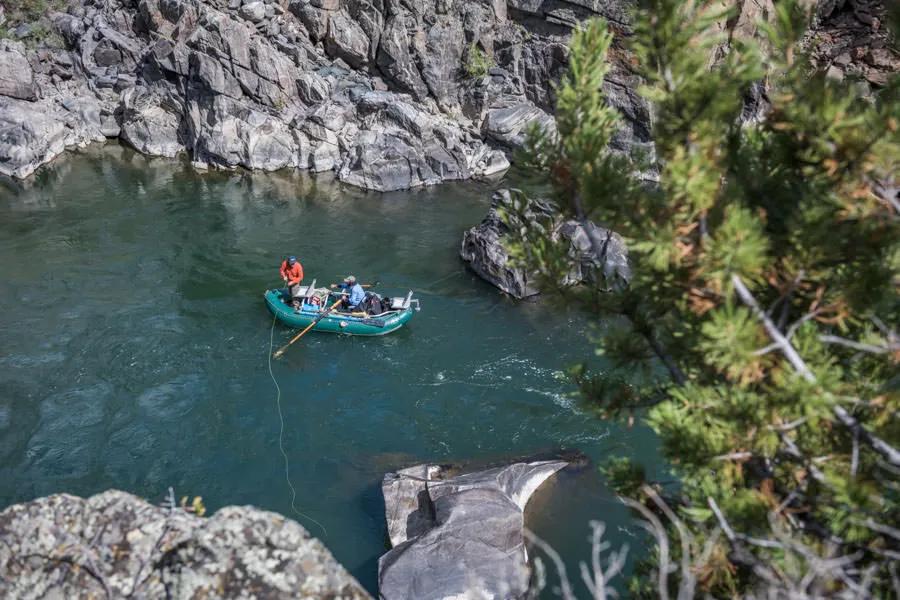 Throwing Hoppers in Yankee Jim Canyon on the Yellowstone River "Clear conditions allow for better predatory sight and encourage the trout to slide off of the banks, hold deeper, and relate tighter to structure."