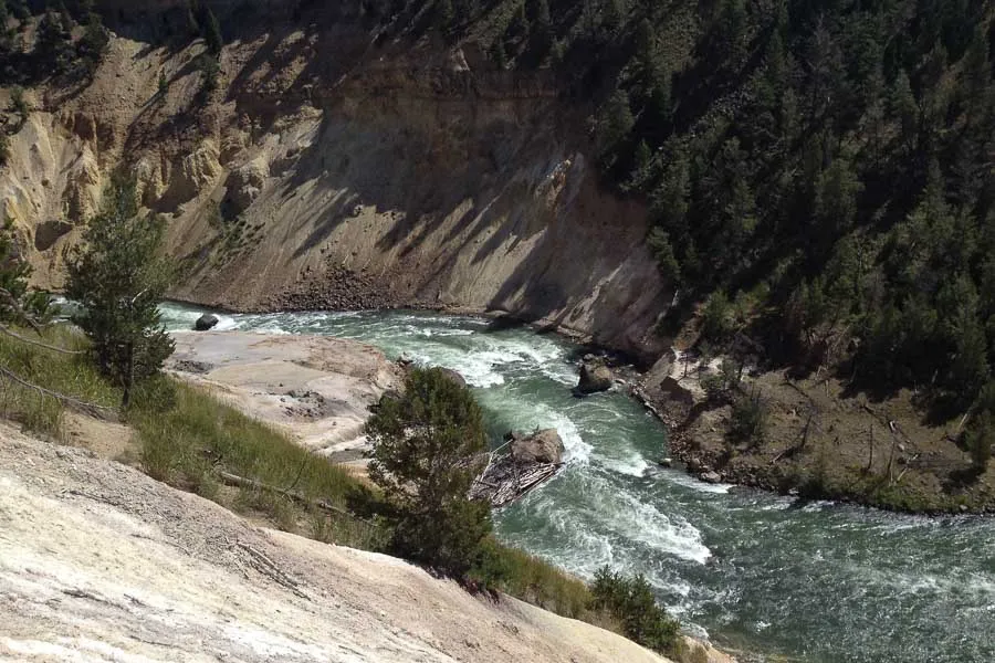 trout fishing montana