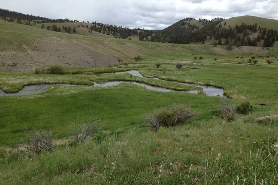 montana fly fishing