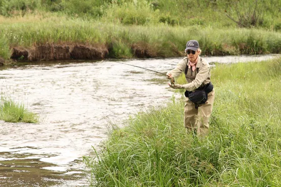 fishing for trout in montana