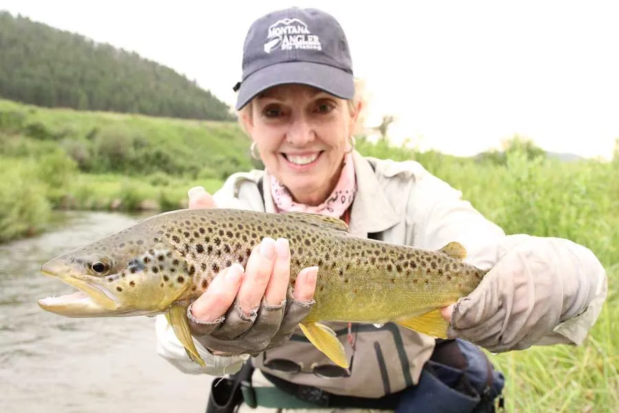 musselshell brown trout