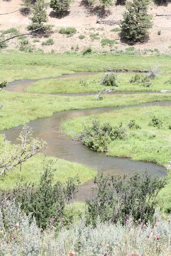 guided fly fishing