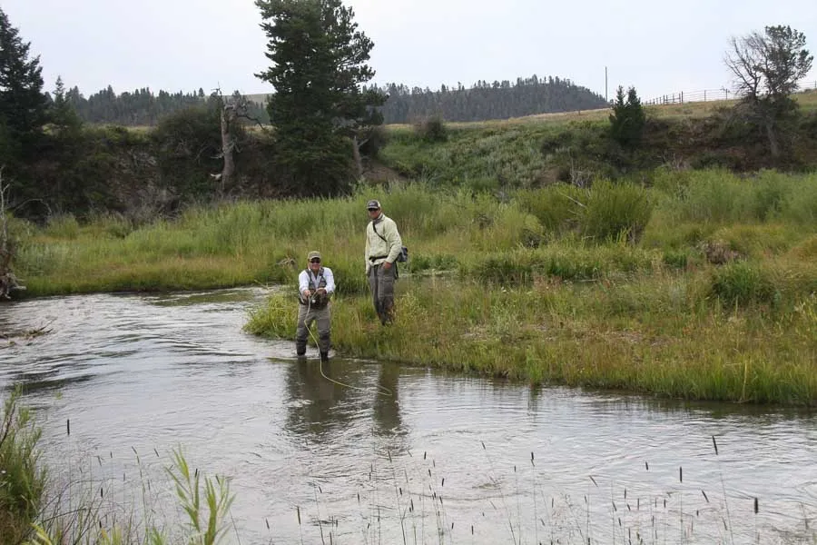 messelshell fly fishing