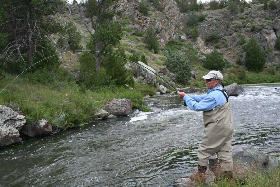 fly fishing willow creek