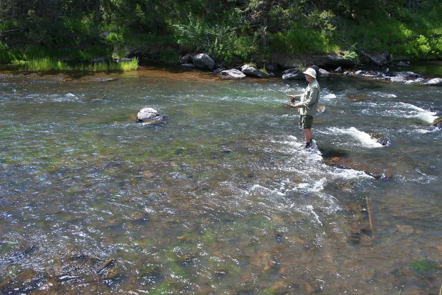 willow creek river view