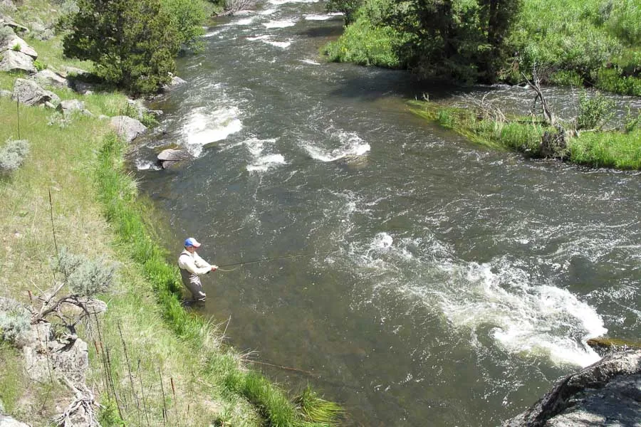 willow creek fishing