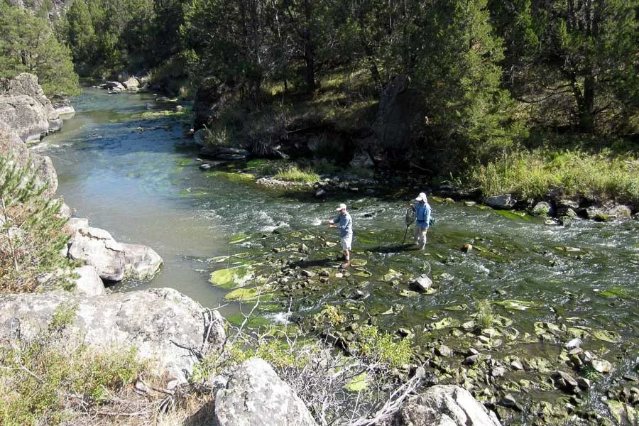 guided trout fishing