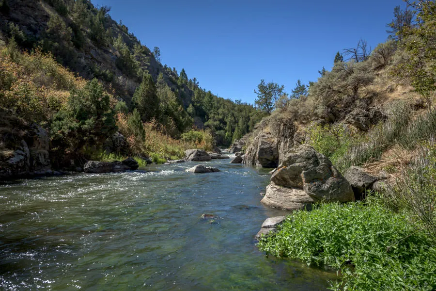 Montana trout streams