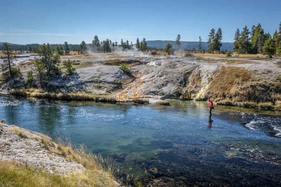 fly fishing yellowstone national park