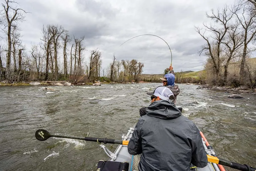 Montana fly fishing, Montana rivers
