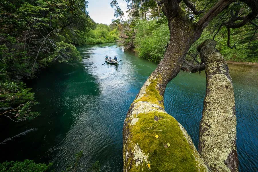 Argentina Fly Fishing Trips