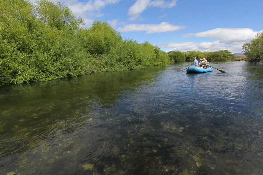 Argentina Fly Fishing Trips