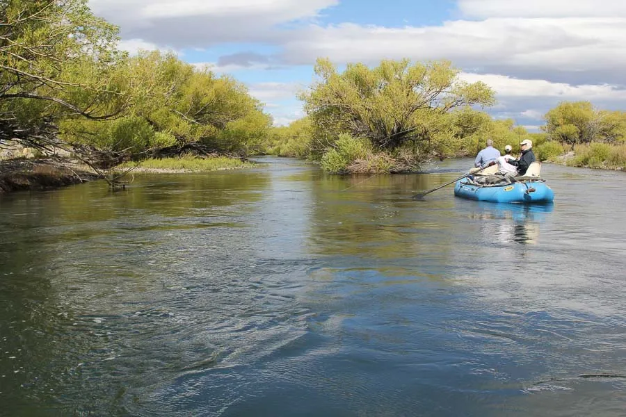 Montana Angler Fly Fishing