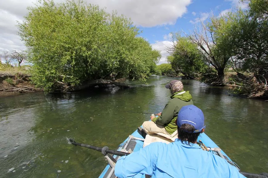 Montana Angler International Fly Fishing