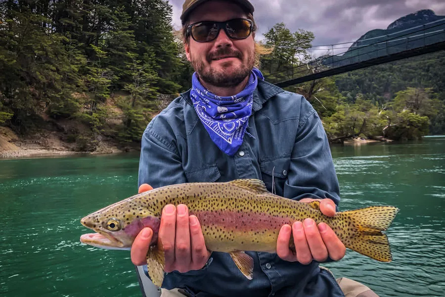 nice bow