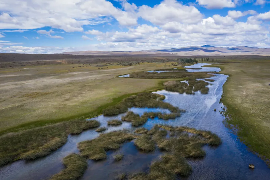 spring creek