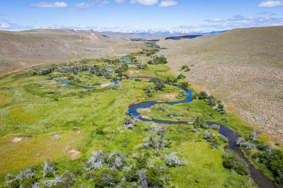 spring creek fishing