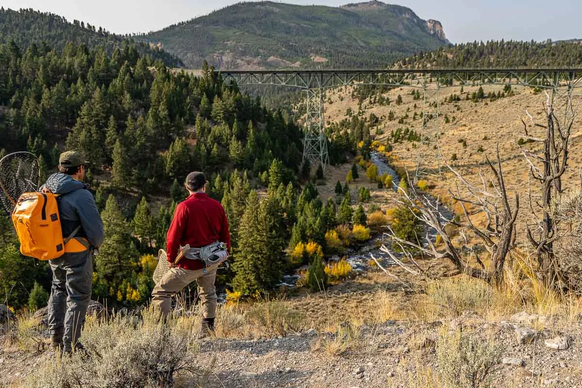 Yellowstone Park Fly Fishing