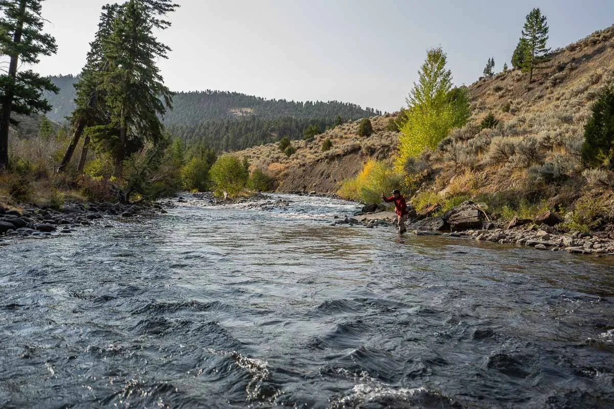 Montana Guided Fishing