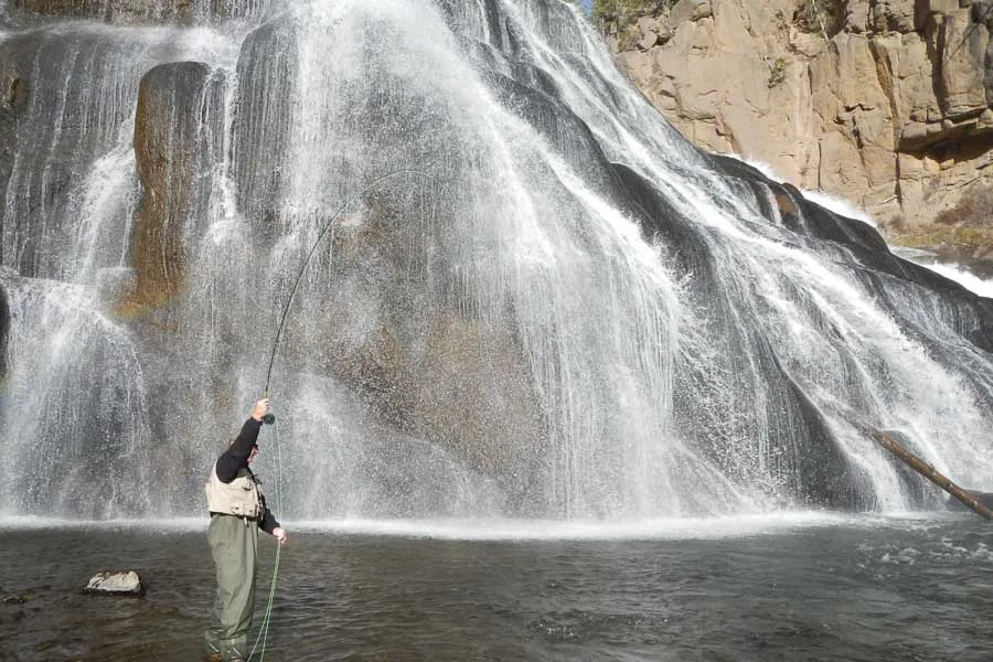fly fish montana