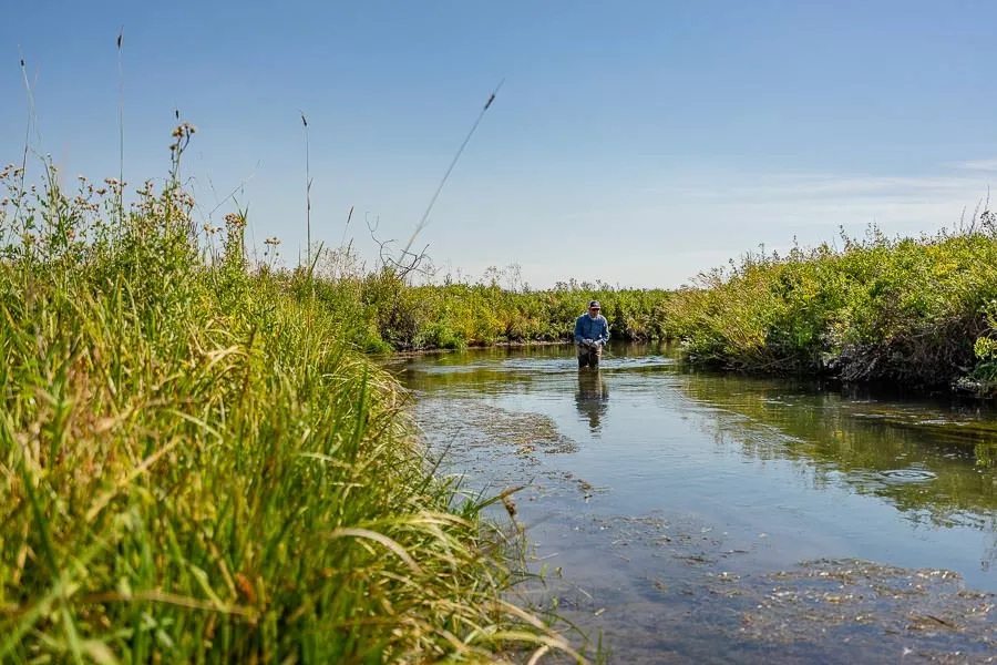 Montana Fishing Guides