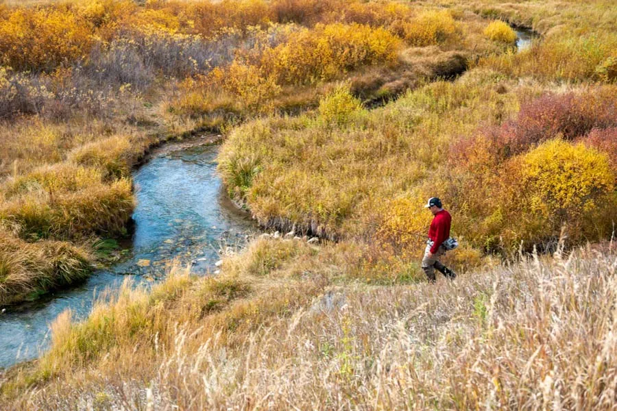 Montana guided fishing