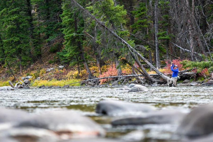 Bozeman fly fishing
