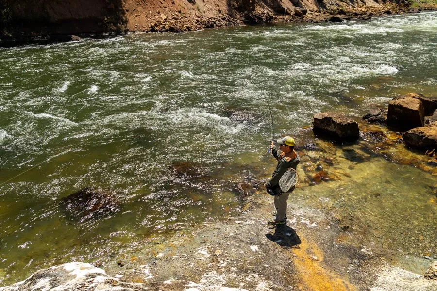 Yellowstone Park Guided Fishing
