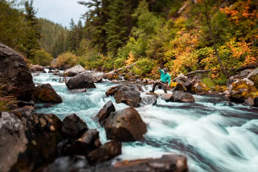 Montana fly fishing guides