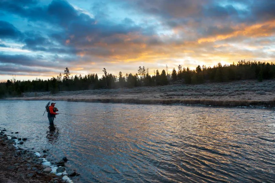 Montana fishing guides