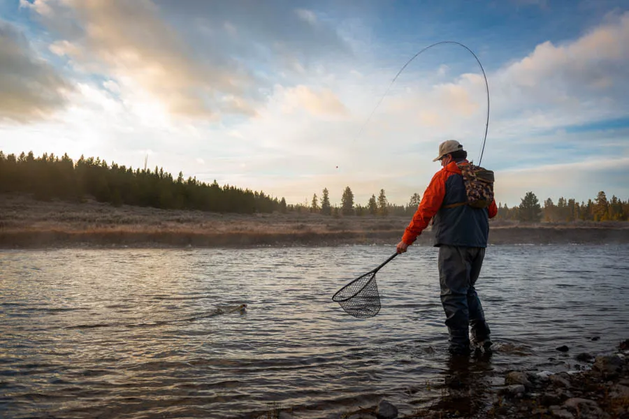 Montana fly fishign