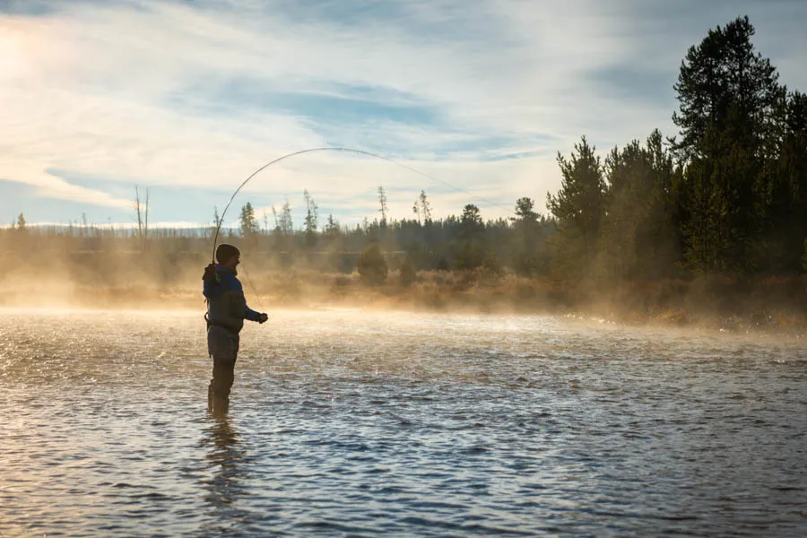 Montana guided fly fishing