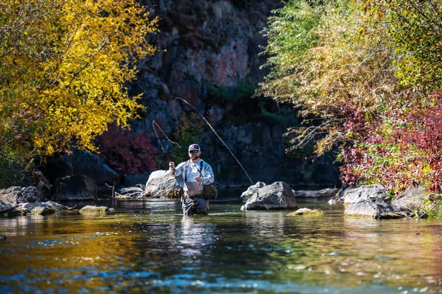 Montana fishing guides