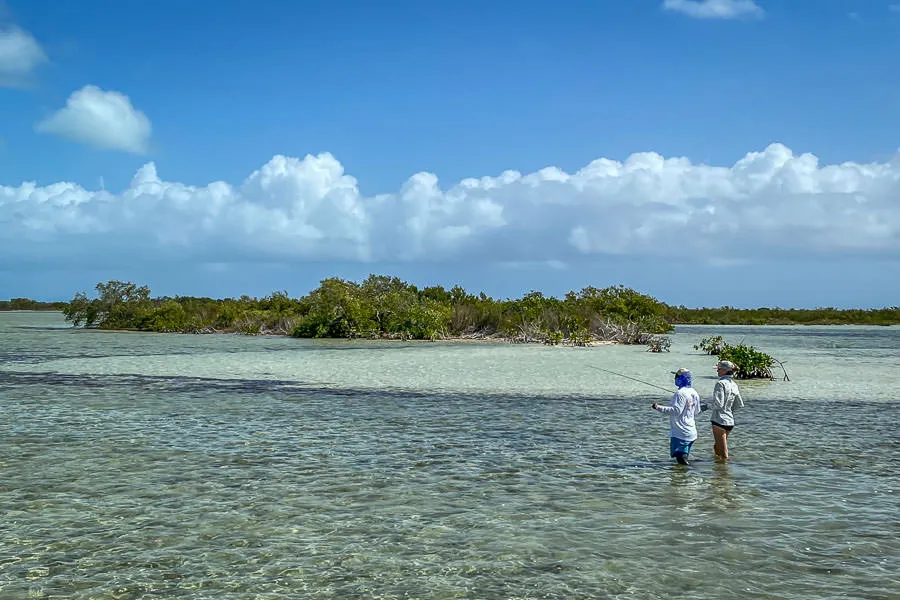 wading