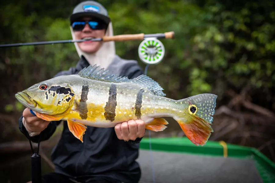 Nice fish