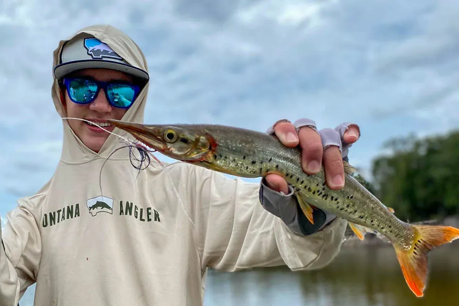small fish