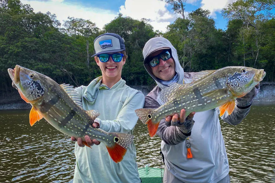 Paca bass amazon