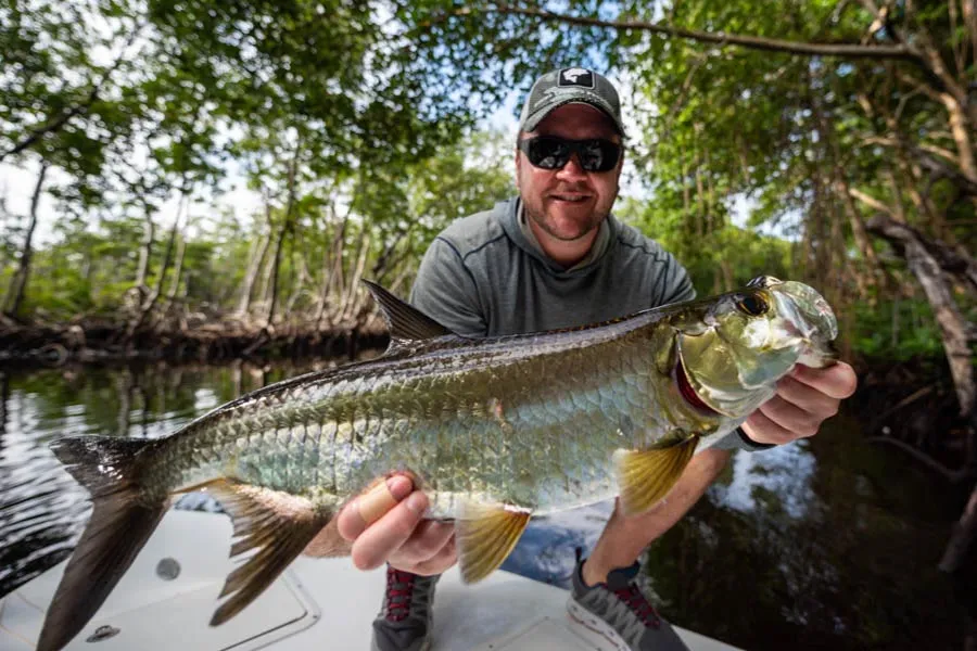 tarpon on fly
