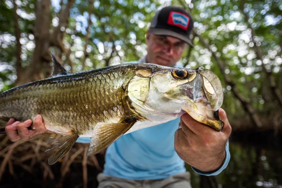 snook Mexico