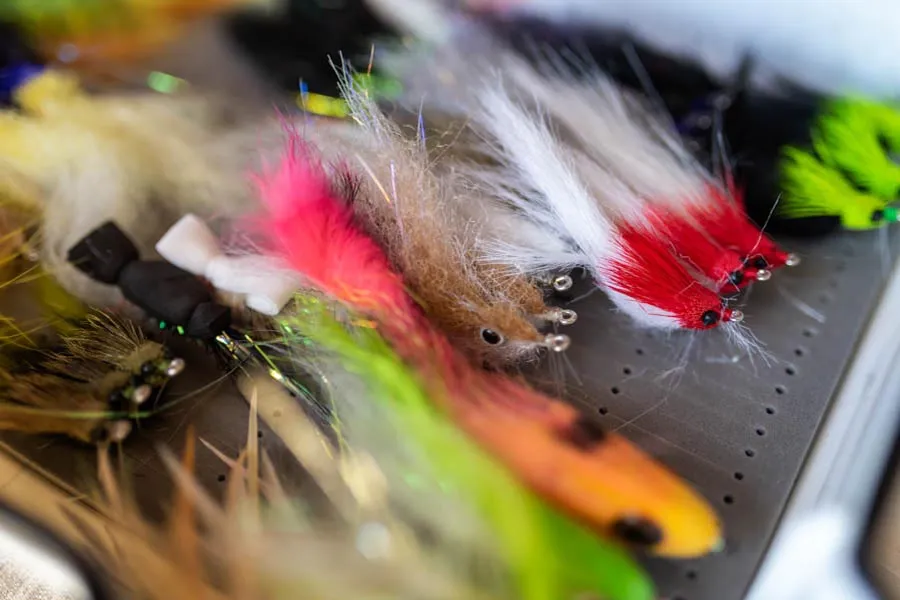 fly selection