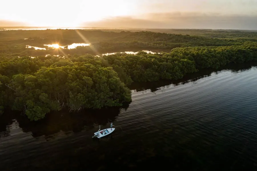 fly fishing tarpon