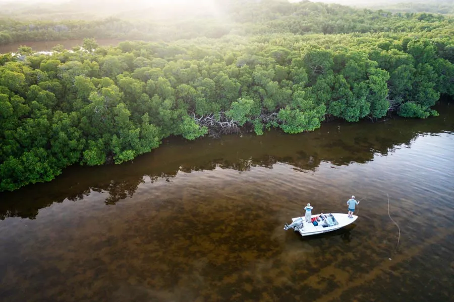 tarpon fishing