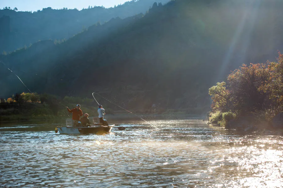 Mo fishing